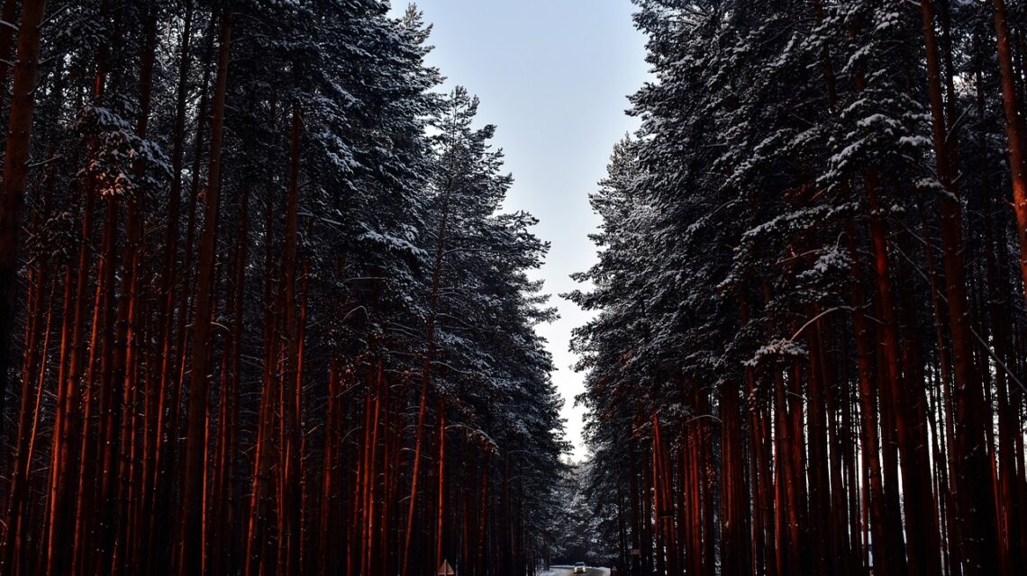 unde ne dam cu sania in sinaia