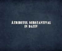 atribut substantival in dativ