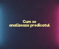 cum se analizeaza predicatul
