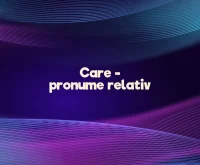 care pronume relativ