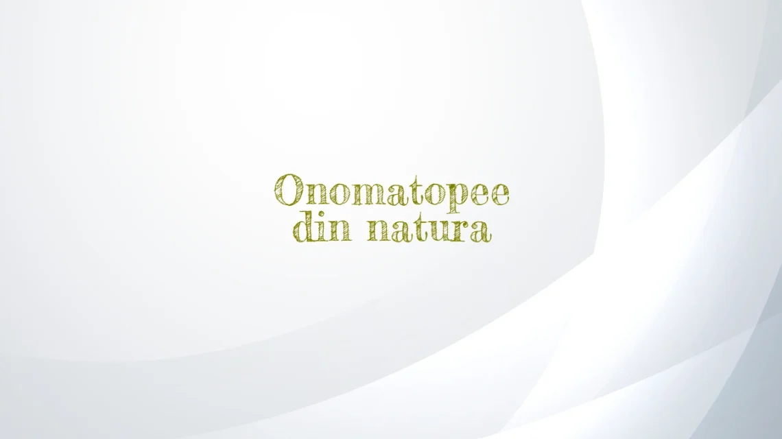 onomatopee din natura