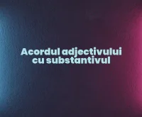 acordul adjectivului cu substantivul
