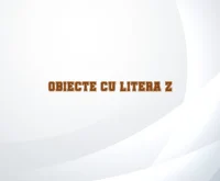obiecte cu litera z